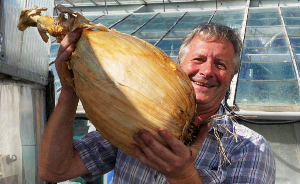 Presenting the world’s heaviest onion, an eye-watering 8.97-kg!