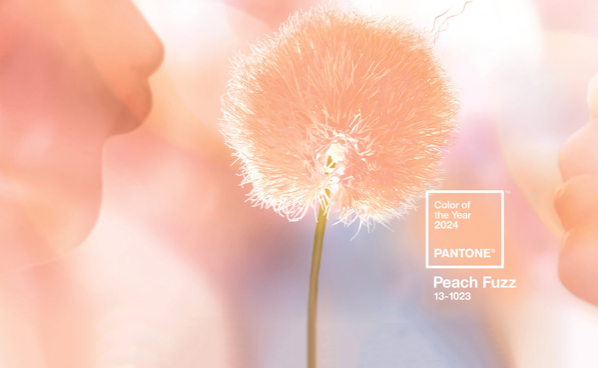 Pantone chooses ‘Peach Fuzz’ as its Colour of the Year 2024